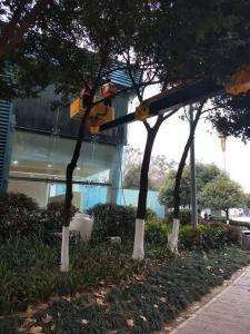 异形墙体高空作业清洗